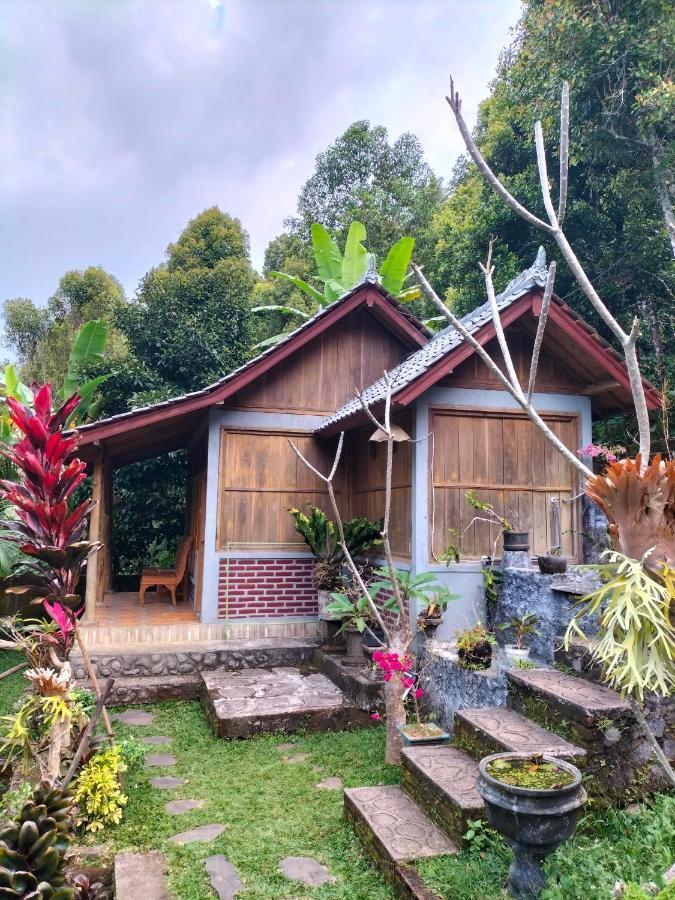 Friendly Homestay Lemukih Сингараджа Экстерьер фото