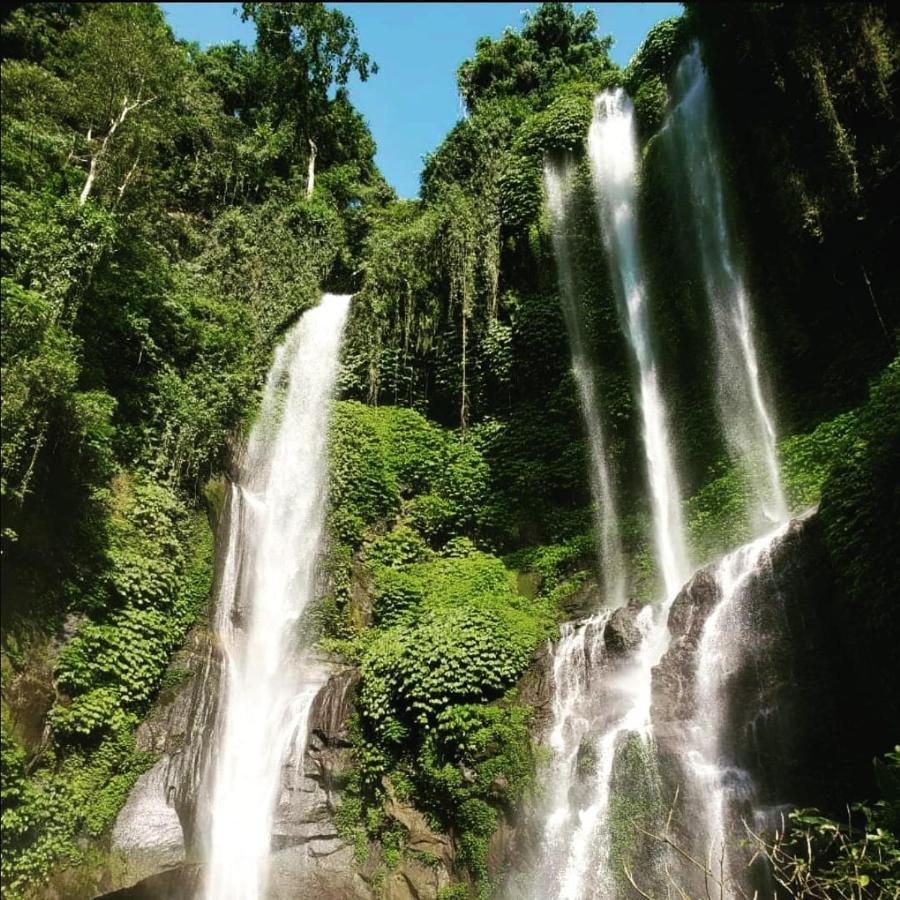 Friendly Homestay Lemukih Сингараджа Экстерьер фото