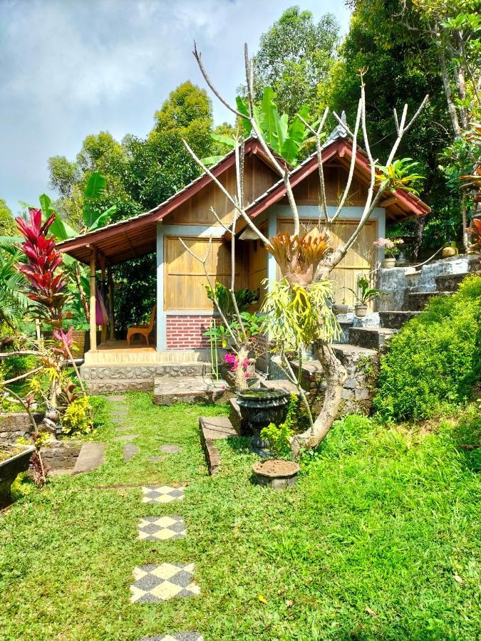 Friendly Homestay Lemukih Сингараджа Экстерьер фото