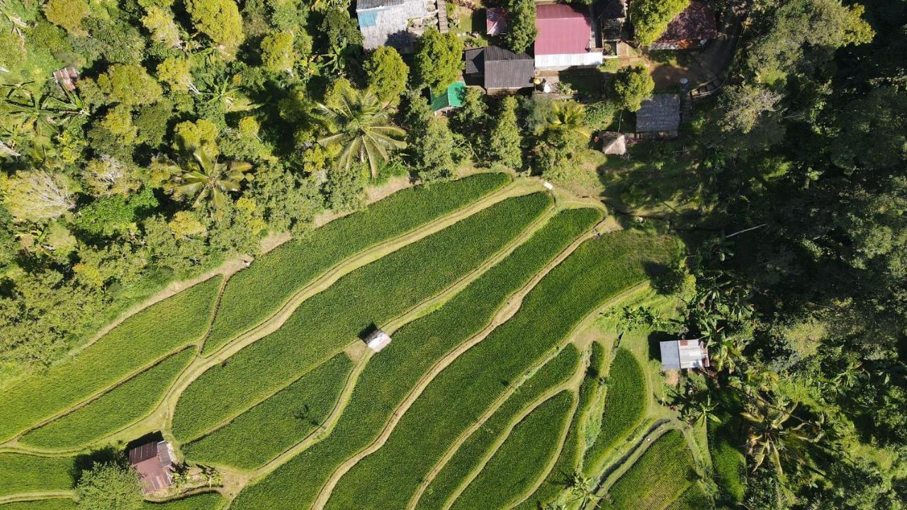 Friendly Homestay Lemukih Сингараджа Экстерьер фото