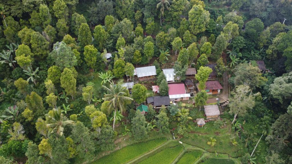 Friendly Homestay Lemukih Сингараджа Экстерьер фото