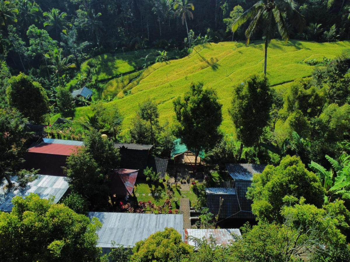Friendly Homestay Lemukih Сингараджа Экстерьер фото