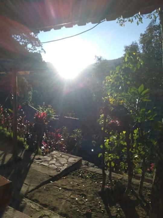 Friendly Homestay Lemukih Сингараджа Экстерьер фото